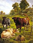 Jones Paintings - A Pedigree Bull by Charles Jones